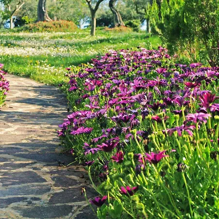 Leandra Citta' Sant'Angelo