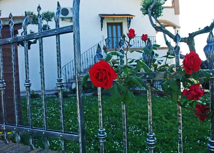 Leandra Bed and Breakfast Citta Sant'Angelo