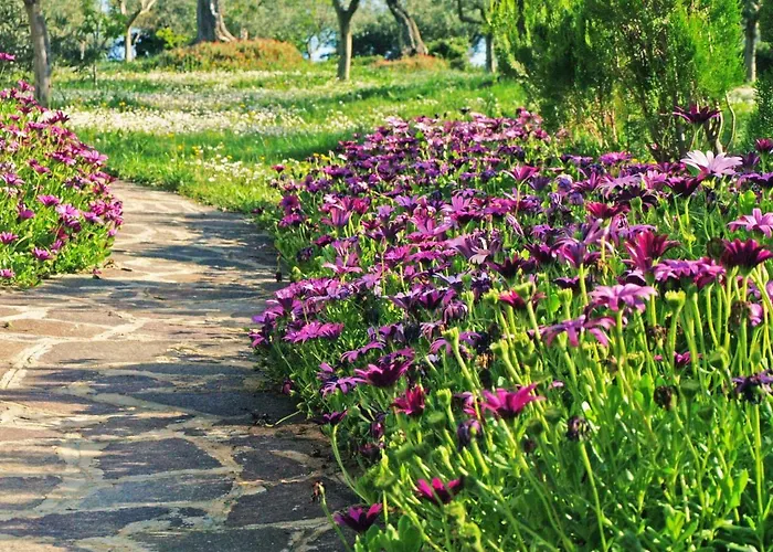 Leandra Citta Sant'Angelo