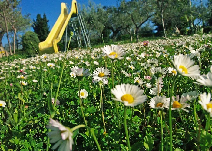 Leandra Bed and Breakfast *